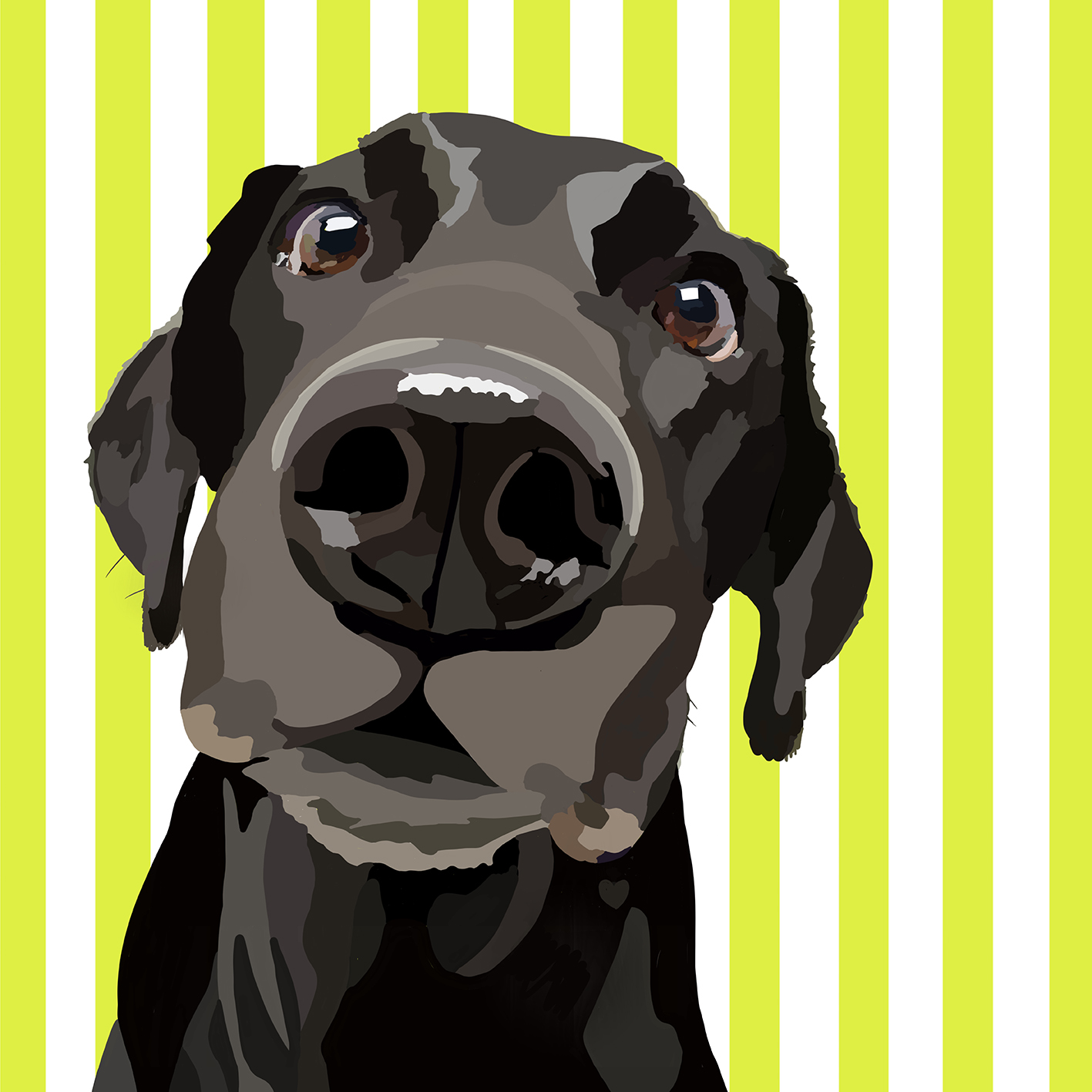 Lilly_Web Lilly_Web